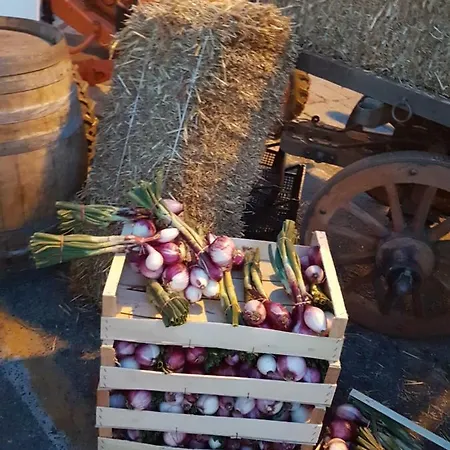 Gæstehus Antica Dimora Tropea